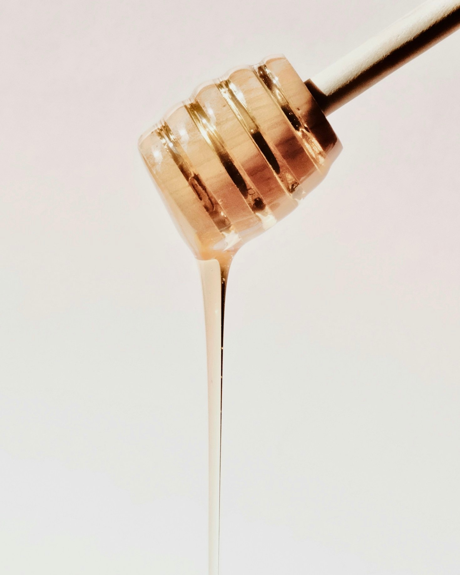 Descubriendo los mejores licores artesanales